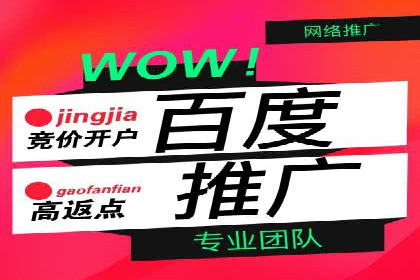 百度竞价推广成功案例解析